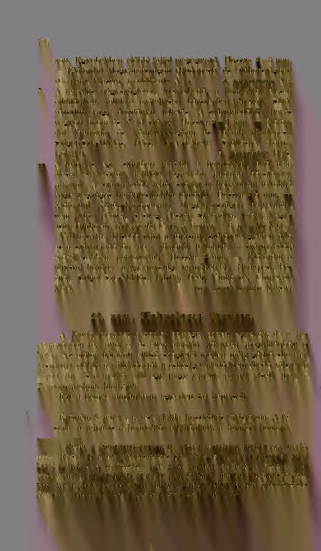 106 zott. Egyebekben elbbi fajjal megegyez. Hossza 2 3 mm. Elfordul Magyarországon (Badai^est) és Oláhországl^an (Comana Masca). {rectilineaia Ab.) 4. puncticeps Ab.