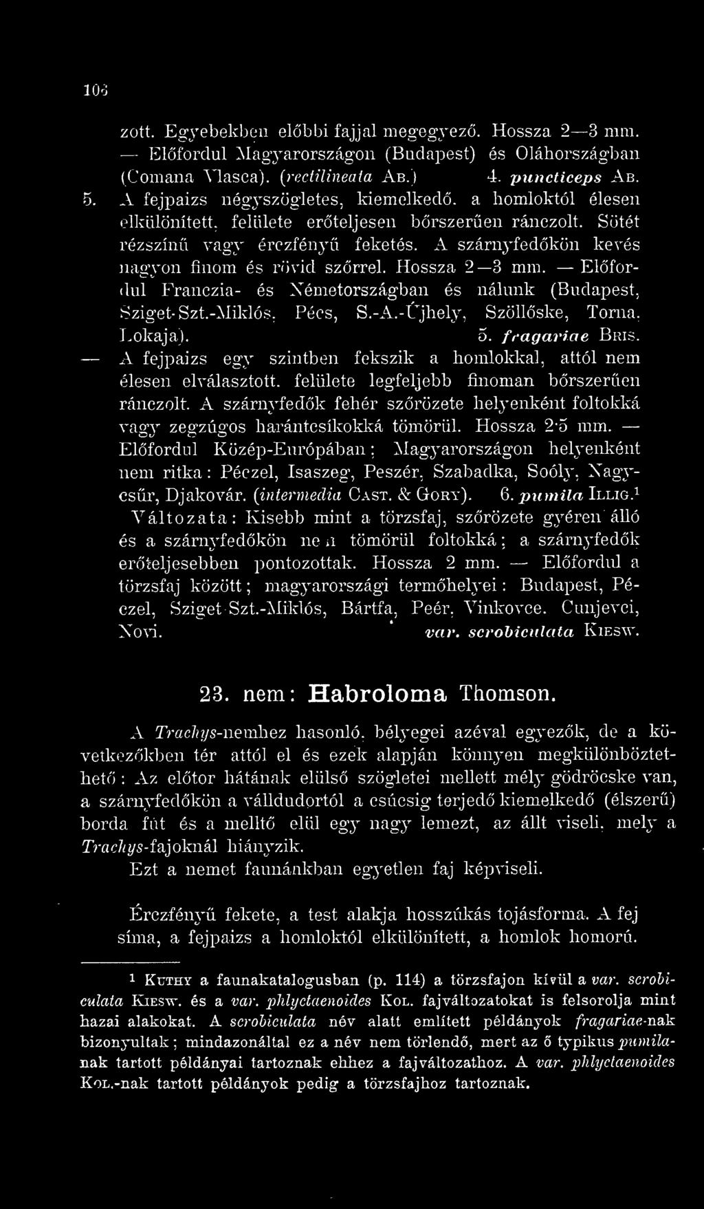 Hossza 2 3 mm. Elfordul Franczia- és Németországban és nálunk (Budapest, Sziget- Szt.-Miklós, Pécs, S.-A.-Újhely, SzöUske, Torna. Lokaja). 5. fcagariae Bris.