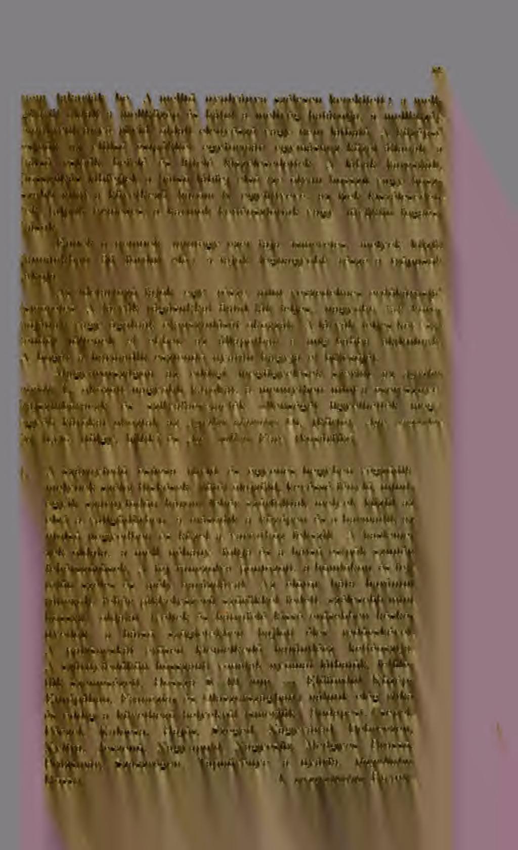 83' nem takarják be. A inellt iwulváiiya szélesen kerekített ; a mellg-üdröt oldalt a mellközép és hátul a mellvég határolja, a melllíözépoldalnyulvánj^a rövid, oldalt elenyész vagy nem látható.