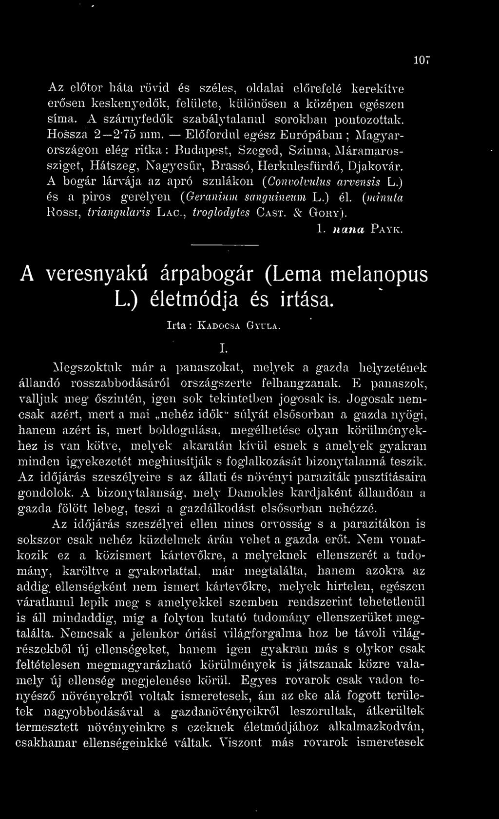 A bogár lárvája az apró szulákon {Gonvolvulus arvensis L.) és a piros gerelyen {Geránium sangiiineum L.) él. {minuta Rossr, triangularis Lac, troglodyics Cast. & Gory). 1. nana Payk.