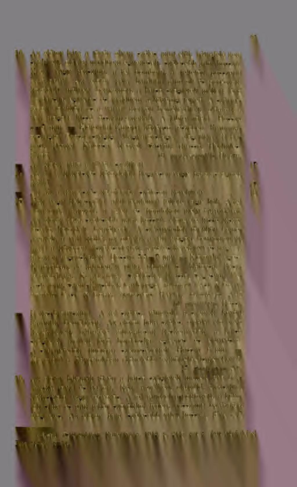 16. Az eltör háta a tövén olyan széles mint elül, hátrafelé nem szkített, oldalai majdnem egyenesek, szélesebb mint hosszú. Érez- Yagy rézszín, a fej domború, a fejtetn hosszanti barázdával.