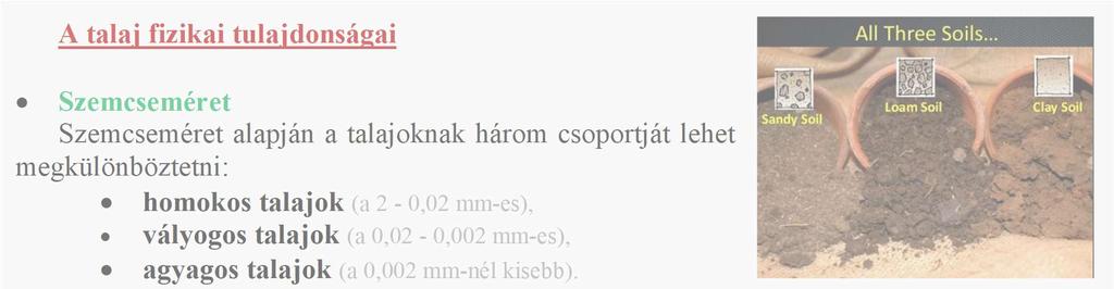 (baktériumok, gombák, növények, állatok), emberi tevékenység.