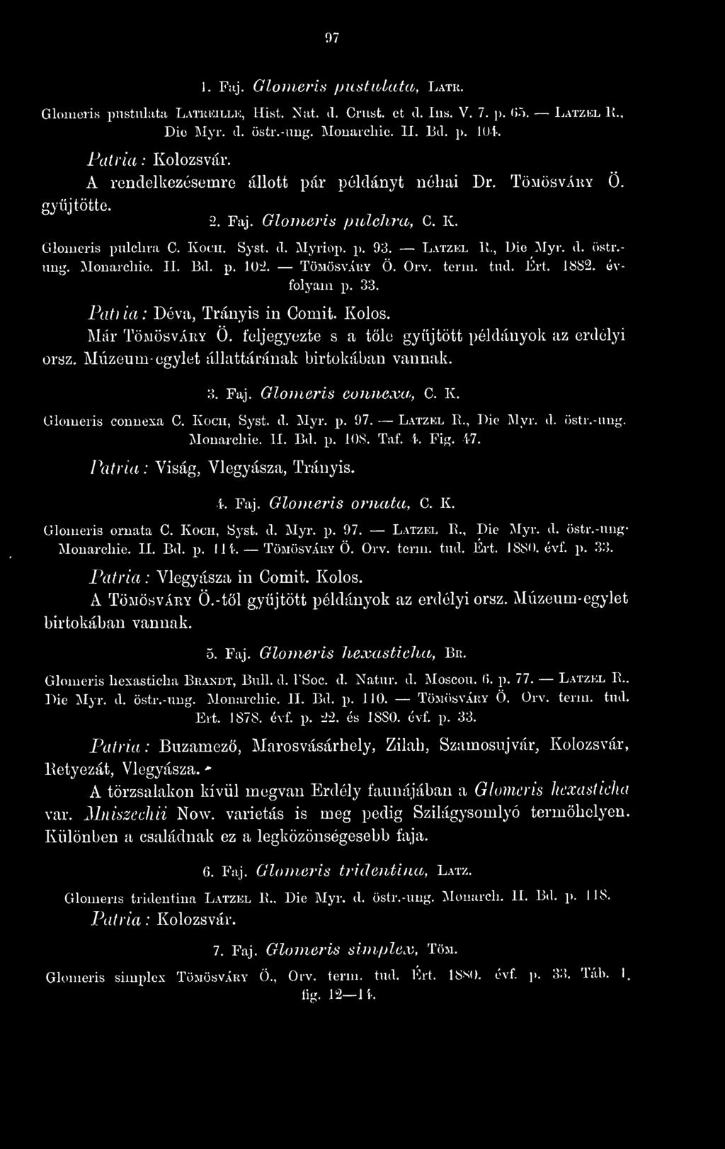 07 1. Fiij. Glonwris /jicstulata, Latr. (jloiueris pustiilatii Latkkillk, Hist. Nut. il. Cnist. et il. lus. V. 7. [>. (i5. L.\tzel lí., Die Myr. d. östr.-uiifí. Mouaichie. II. Bd. p. lol-. Kolozsvár.