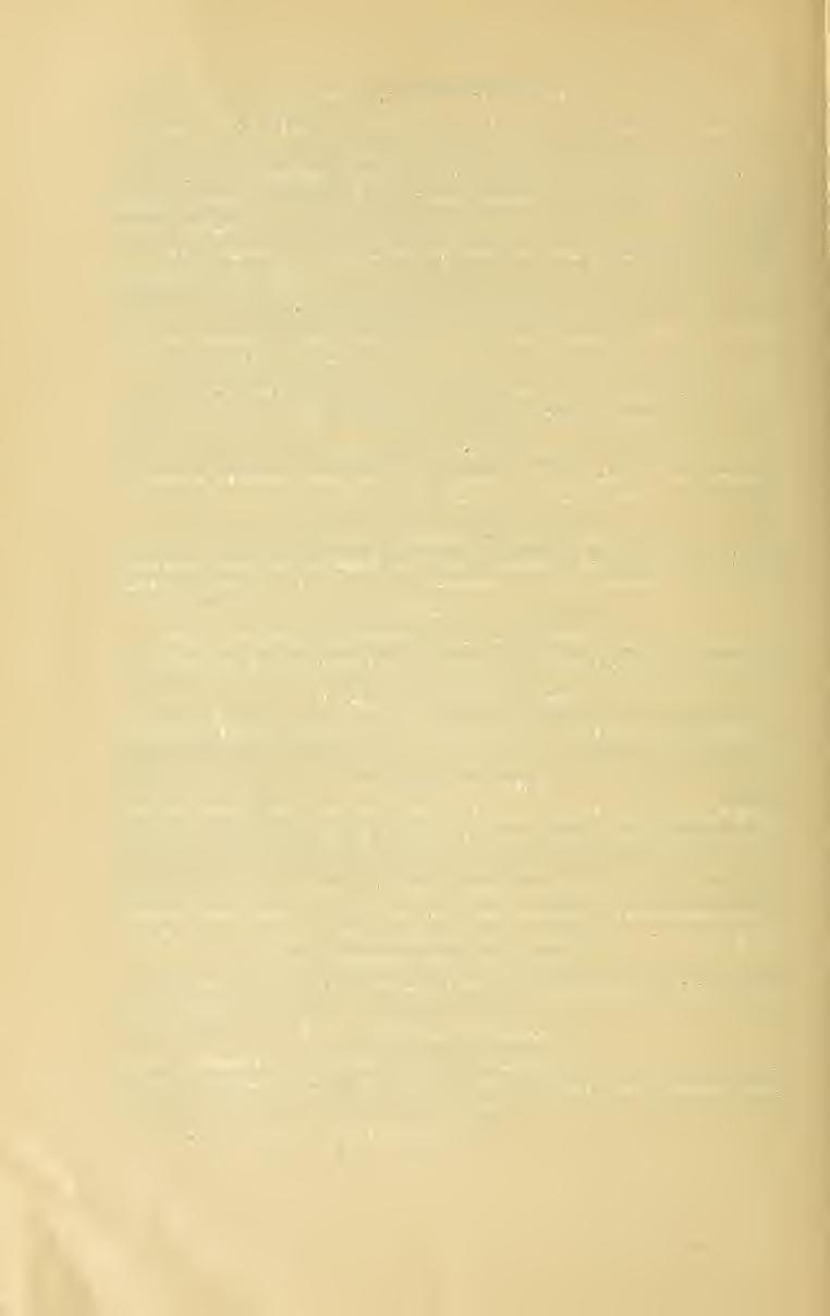 104 1. Faj. Cryptops liort67vsís, Leach. Cryptops liortensis Leach, Trans. Linn. Soc. London. IL V. p. 3S4. Latzel E., Loc. cit. 1. Bd. p. 154. Búzamez, Szamos-Ujvár in Comit.