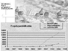 hasonló mértékű volt Új szakasz a fogoly programban: állománydúsítás A fogoly program 2004-től A lenesi törzstelep 2004-ben kezdi meg működését 4 referencia terület