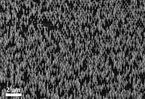 A 200 és 300 nm-es rácsállandóval 125-125 nm átmérőjű és 800 nm magasságú oszlopok növekedtek.