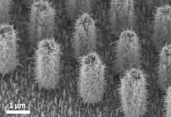 Az ALD technikával készített másodlagos magrétegek tesztelésére 8 µm rácsállandójú fotolitográfiával előkészített nedves kémiai eljárással növesztett oszlopos szerkezet szolgált (53.