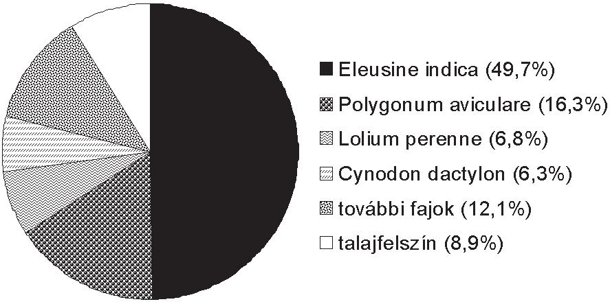 Az Eleusine indica elterjedtsége Budapesten 1. ábra.