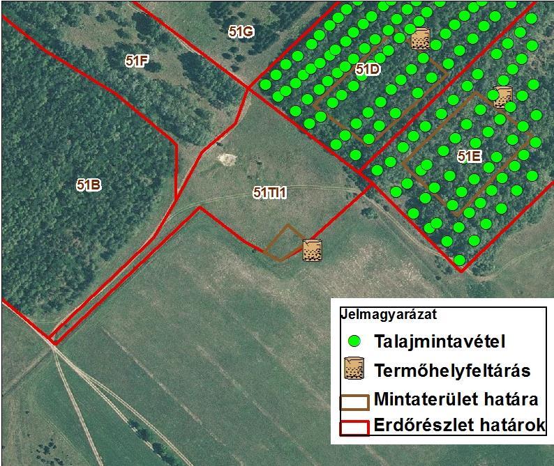 mőhelyi adatok csak követett úton a jellemző növénytársulás alapján lettek megadva.