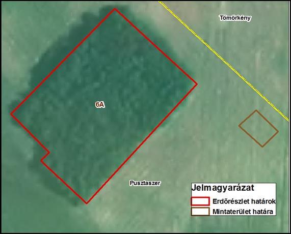 6. ábra: A pusztaszeri mintaterületek elhelyezkedése. A kiválasztott kutatási területet Pusztaszer 0227/30-as helyrajzi számon lévő gyep művelési ágú terület és Pusztaszer 6 A erdőrészlet alkotják.