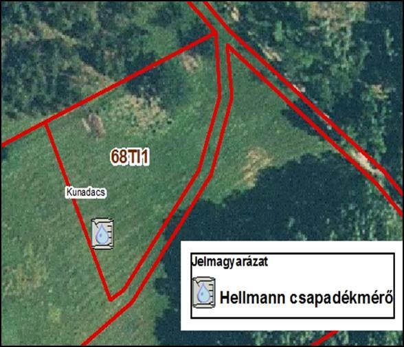 A mérőhely közvetlen környezetében (50 m-es sugarú körön belül) homokpuszta gyepre jellemző fajok találhatóak.