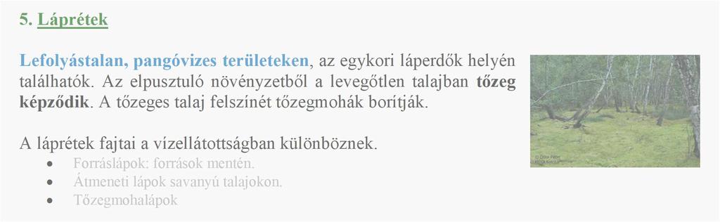 A gyomnövények megjelenése a növényi vegetáció alkalmazkodása az ember által alakított környezethez.