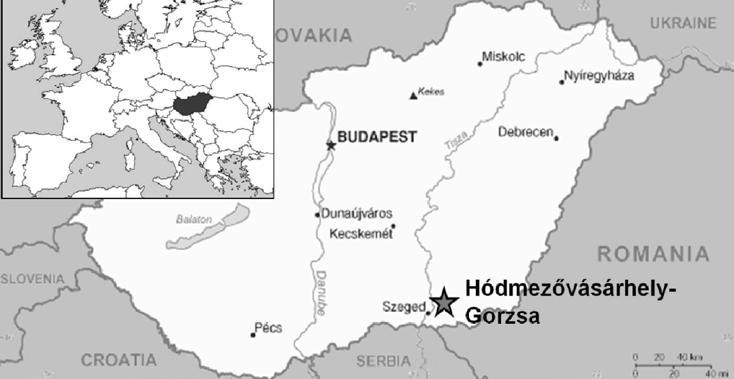 megerősítette a korábbi adatokat: eszerint a HGO-53 maradványai a Kr. e. 5. évezred elejéről származnak, a Kr. e. 4780 4715-as (kalibrált, 1 szigma) időszakból (Kr. e. 5872±32 év kalibrálatlan, intcal09.