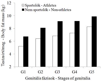 követő genitális stádiumok között. A bőr alatti zsírszövet vastagsága az érés idején mintegy 3%-ot csökken.