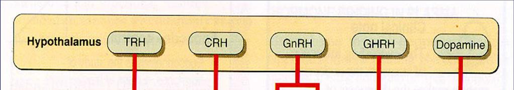 Fontosabb