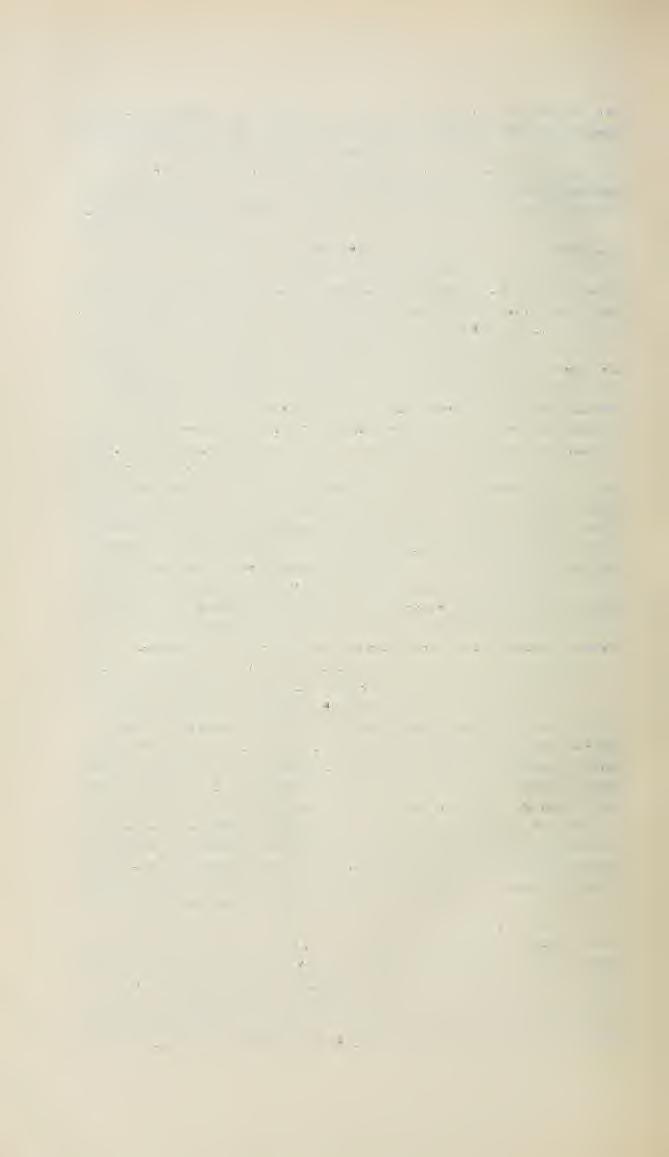 e ; 216 TUZSON J. dönthettem felette, az azonban bizonyos, hogy nem tartozik a var. Benitskyi-hez. A V o e r n 1 ein-tól említett déltiroli növény szintén valószínleg a var. gracilis-hez tartozik.