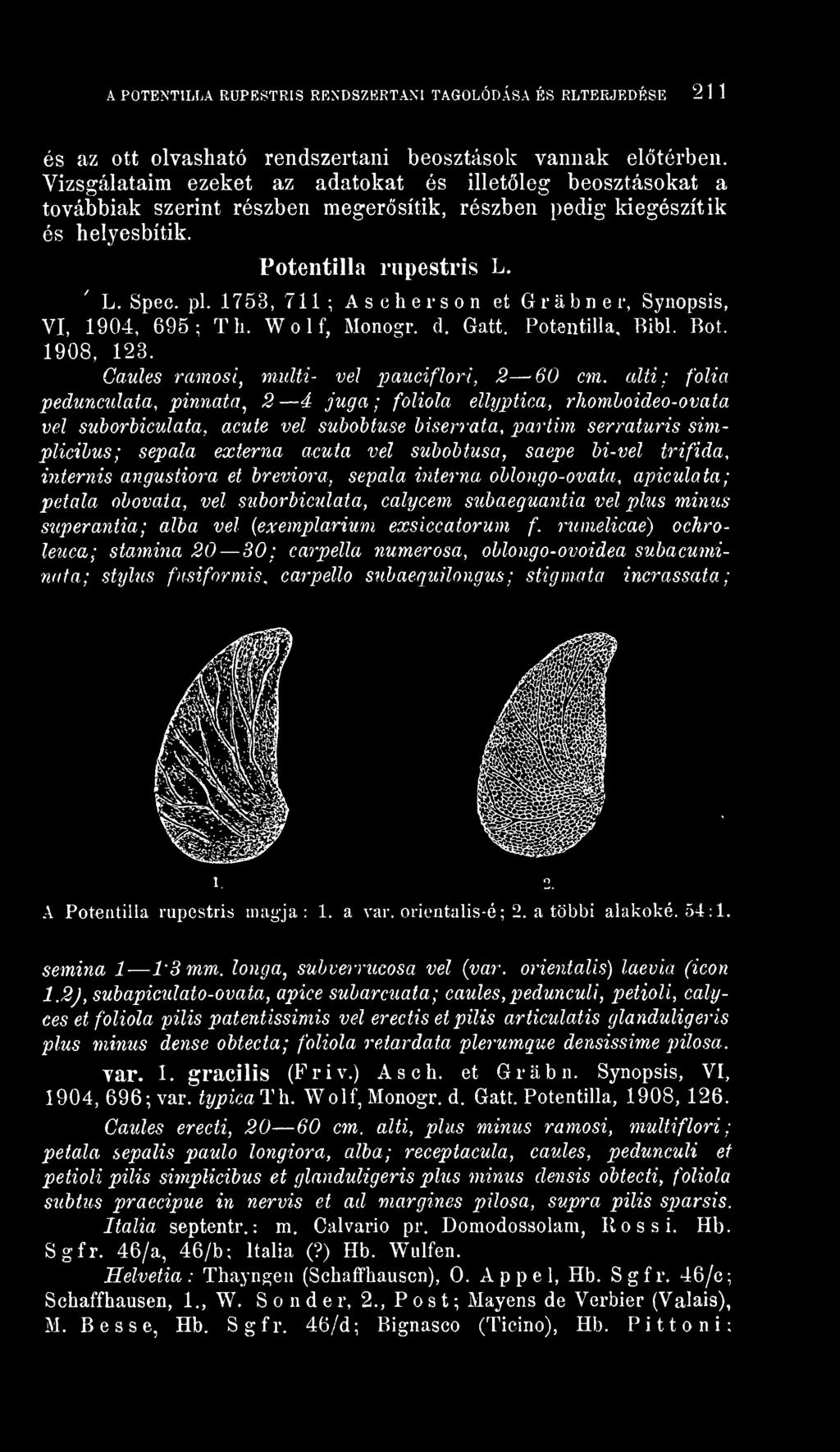1753, 711 ; A s eh er s o n et Gr ab ne r, Synopsis, VI, 1904, 695; Th. Wolf, Monogr. d. Gatt. Potentilla, Bibi. Bot. 1908, 123. Caules ramosi, miilti- vei pauciflori, 2 60 cm.
