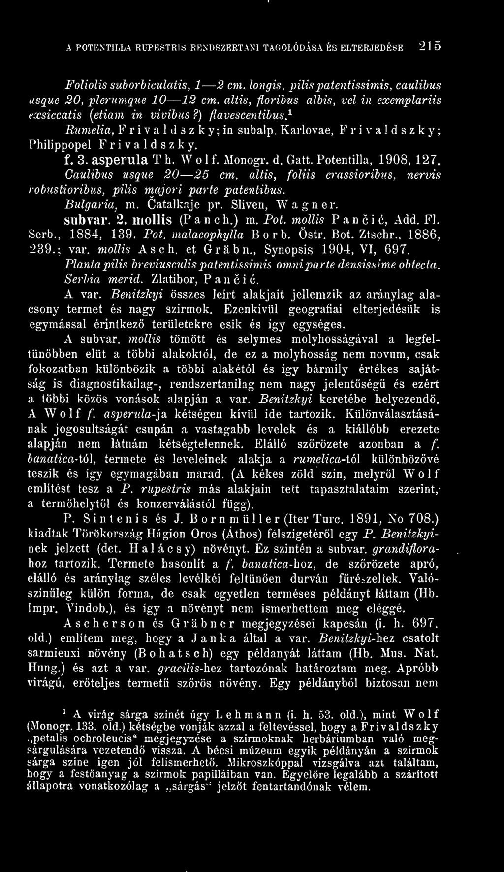 Plánta pilis breviuscidis patentissimis omni parte densissime obtecta. Serlna merid. Zlatibor, Pancic. A var. Benitzkyi összes leírt alakjait jellemzik az aránylag alacsony termet és nagy szirmok.