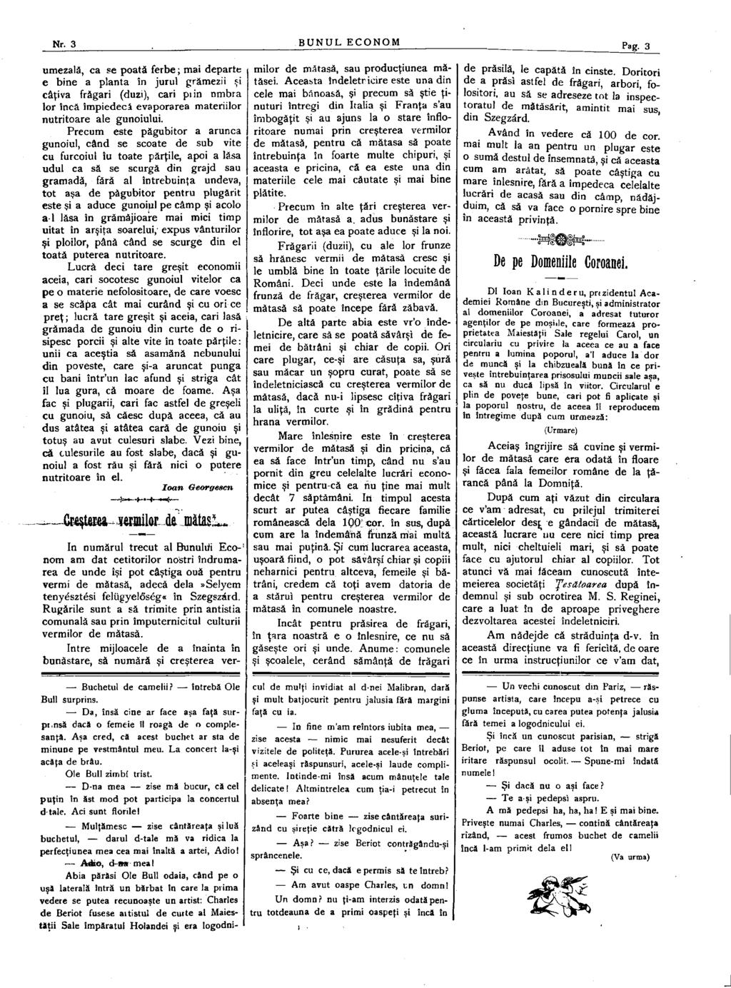 Nr. 3 BUNUL ECONOM Pag.