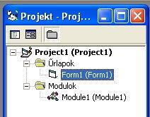 A Formot kitöröljük a projektből a