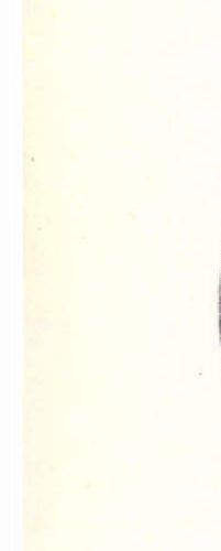 Carassiuo caraselus ; fig. 5.