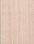 Robinia pseudo