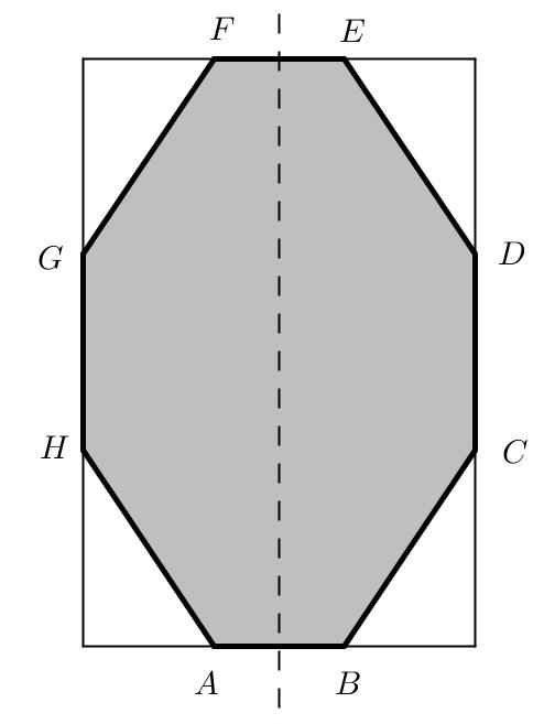 14. Los lados de una hoja de papel de forma rectangular miden 12 y 18 cm. Dividimos los lados en tres partes iguales; se forman dos puntos en cada lado.