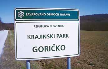 Občinski svetniki so na pustni torek opravili prvo branje, izrečenih je bilo kar nekaj pripomb in sugestij, ki jih bodo upoštevali pri pripravi predloga proračuna, odvisno od tega, v kolikšni meri so