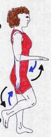 Ízületek mozgásai (1): Hajlítás= flexio (könyökízület, alkar