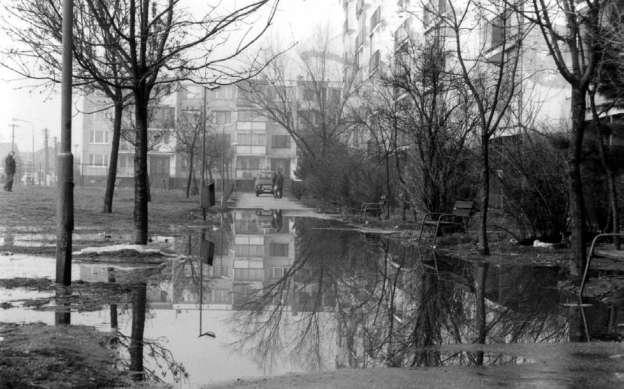 SENČAN č. 1/2003 5 Po daždi a odmäku vstup do bytov nemožný Po miernych dažďoch sa pri činžiakoch oproti Minoru vytvoril fotogenický úkaz.