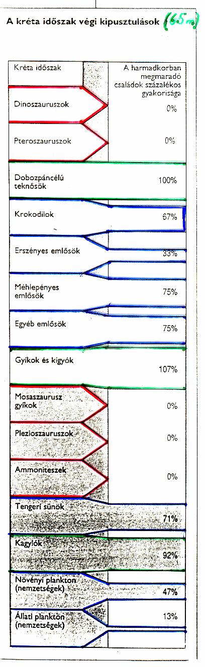 Diverzitás profil