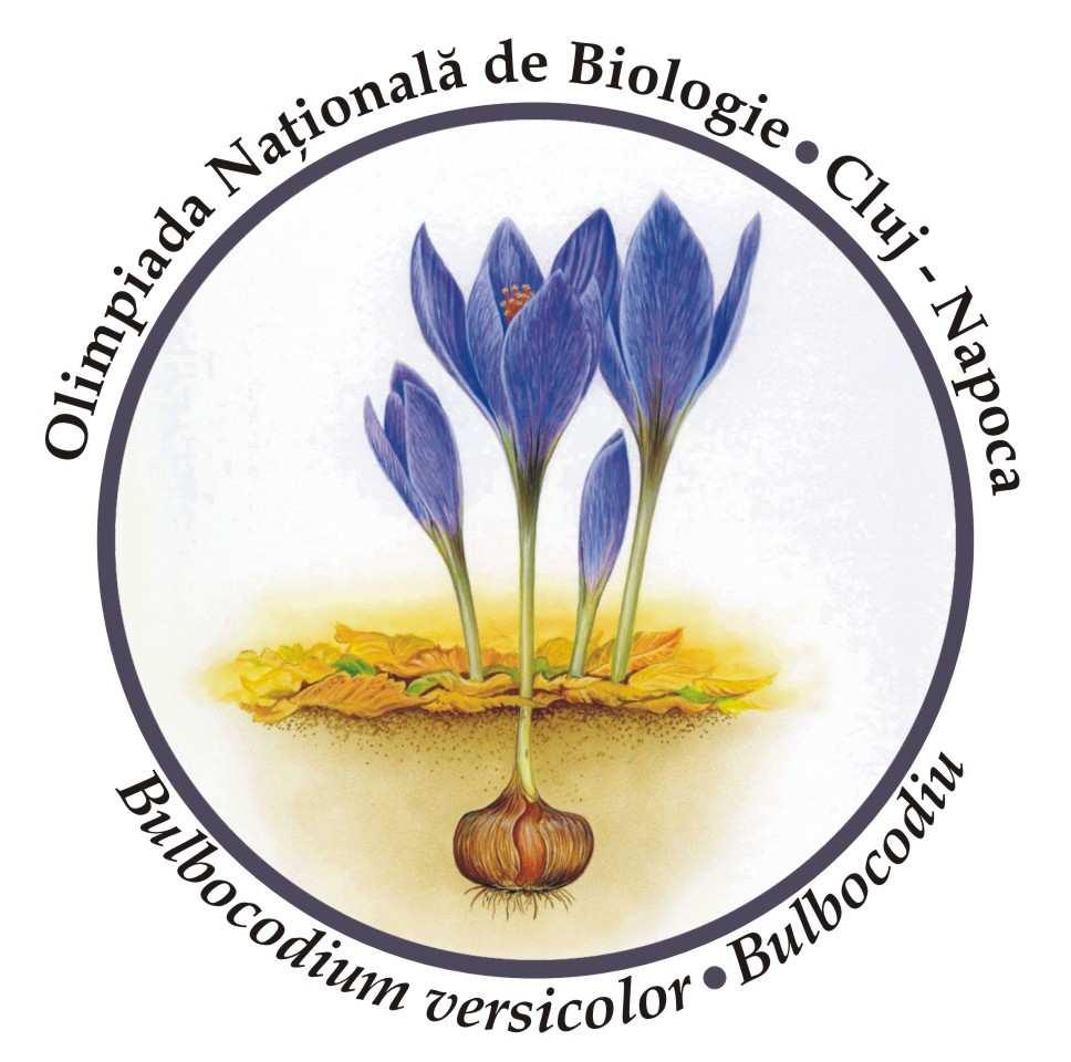 item Răspuns Nr. item Răspuns Nr. item Răspuns 1. B 26. B 51. C 2. C 27. D 52. B 3. C 28. B 53. B 4. D 29. C 54.