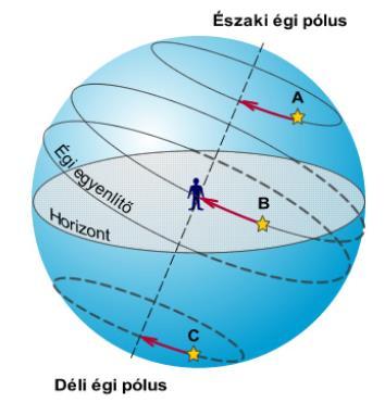 A csillagok járása mérsékelt égövről nézve 3 féle csillag az éggömbön: az égen bejárt pályaköre sosem megy a horizont (azaz látóhatár) alá (ábrán: A) ún.