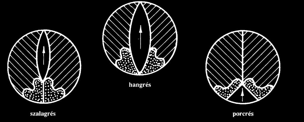 (hangrés)
