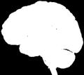 Stroke Cognitive dysfunctio Halál Csökkenő