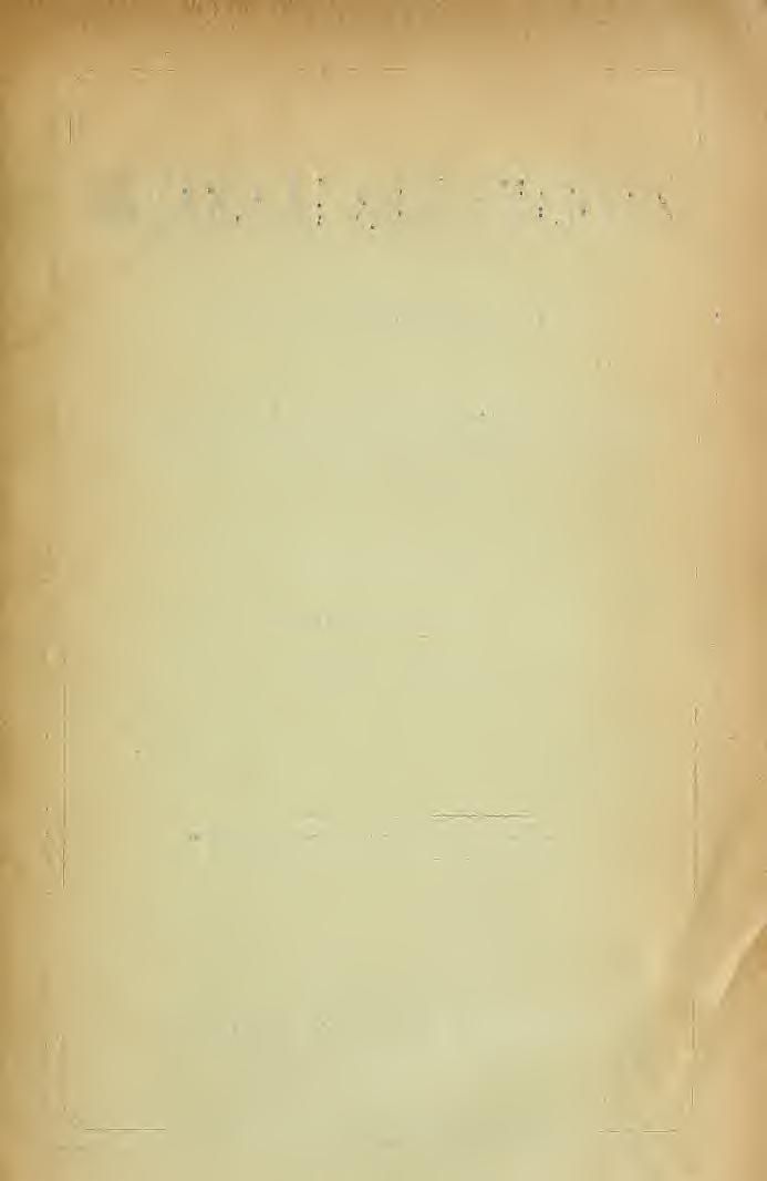 XI. KÖTET. 1912. IX/30. 3 4. FÜZET.