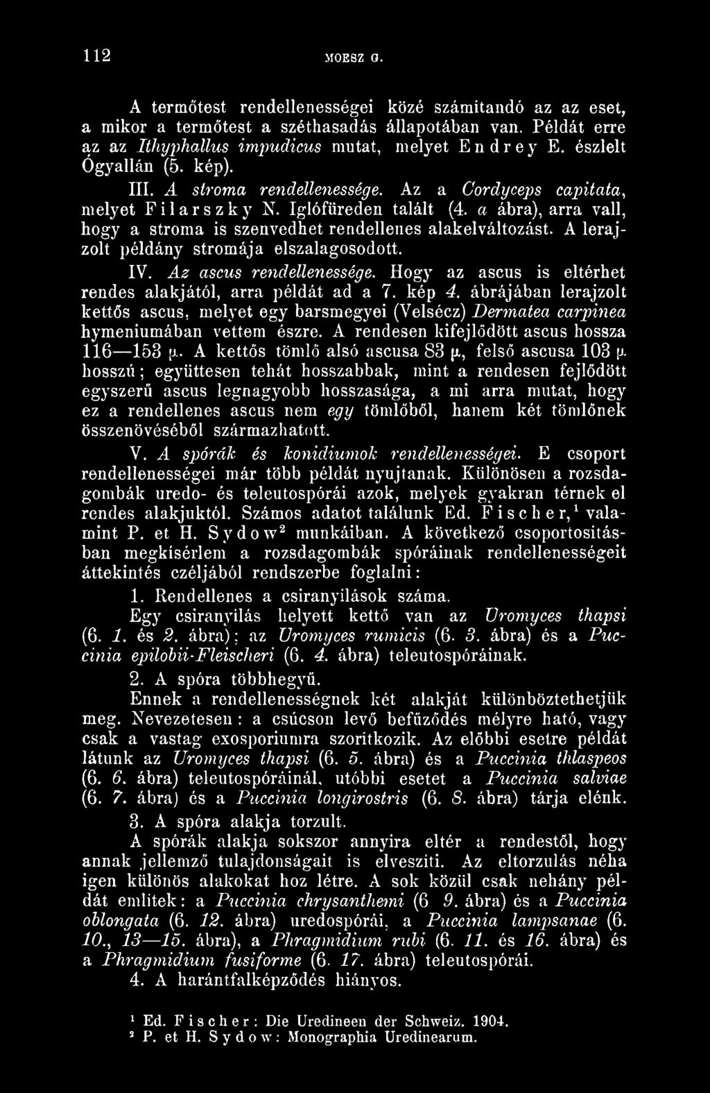 A rendesen kifejldött ascus hossza 116 153 [JL. A ketts töml alsó ascusa 83 {i, fels ascusa 103 \y.