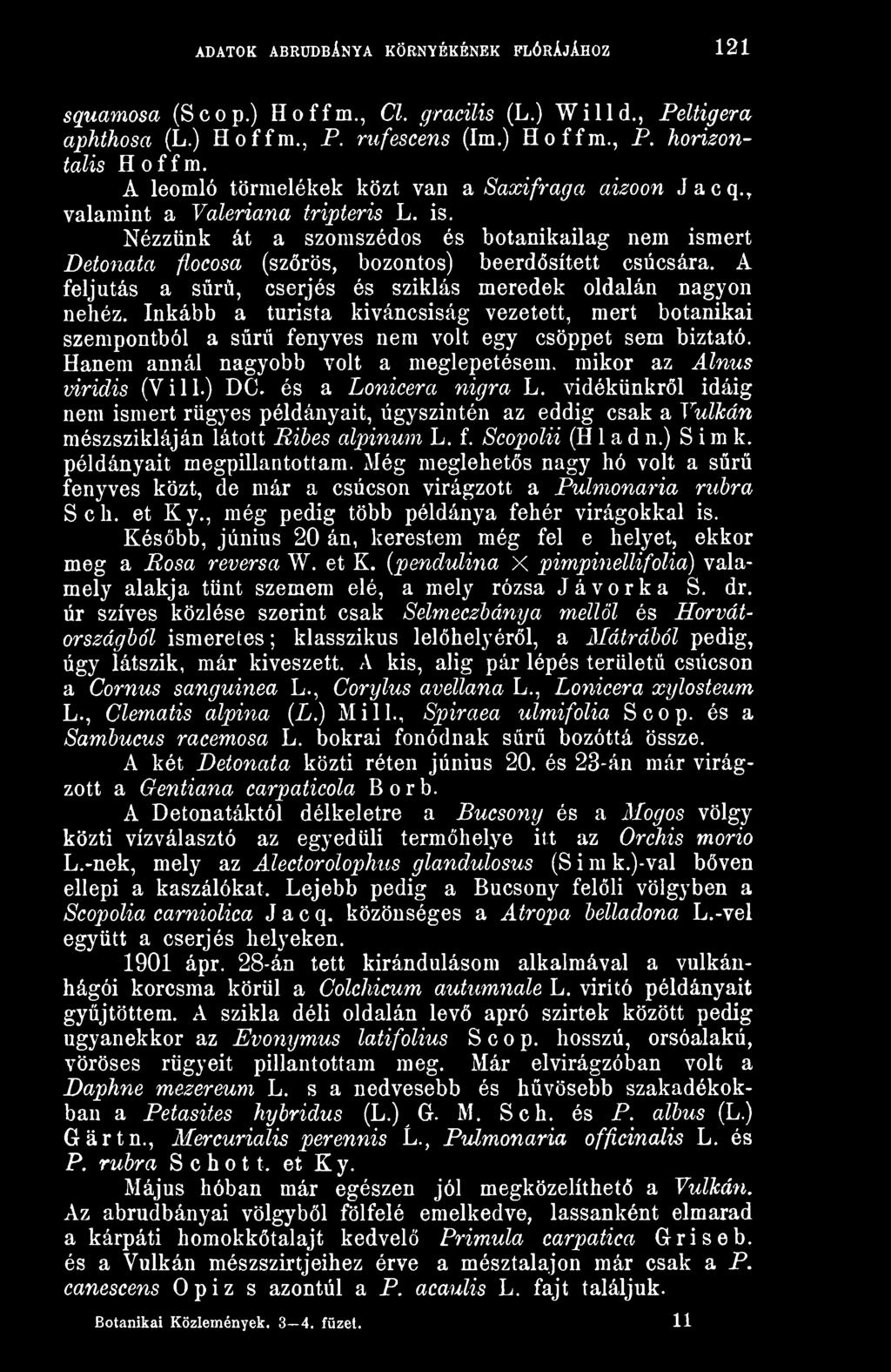 A feljutás a sr, cserjés és sziklás meredek oldalán nagyon nehéz. Inkább a turista kiváncsiság vezetett, mert botanikai szempontból a sr fenyves nem volt egy csöppet sem biztató.