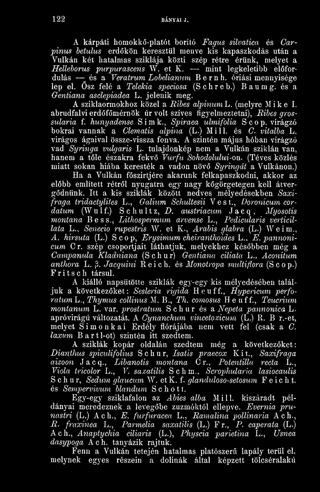 W. et K. mint legkeletibb elfordulás és a Yeratrum Lohelianum Bernh. óriási mennyisége lep el. ösz felé a Telekia speciosa (S c h r e b.) B a u m g. és a Gentiana asdepiadea L. jelenik meg.