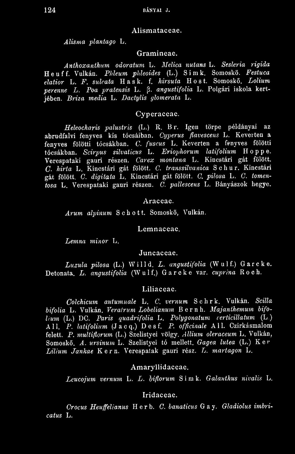 Igen törpe példányai az abrudfalvi fenyves kis tócsáiban. Cyperus flavescens L. Keverten a fenyves fölötti tócsákban. C. fuscus L. Keverten a fenyves fölötti tócsákban, Scirpus süvatkus L.