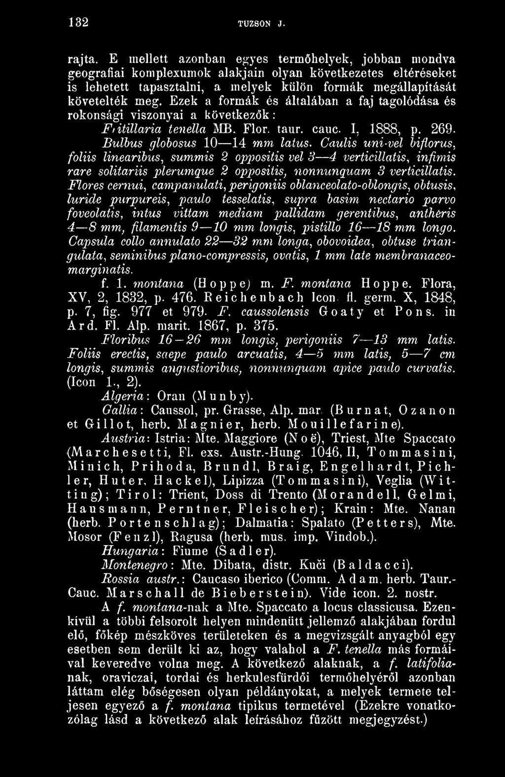 Ezek a formák és általában a faj tagolódása és rokonsági viszonyai a következk Fiitillaria tenella MB. Flór. taur. cauc I, 1888, p. 269.