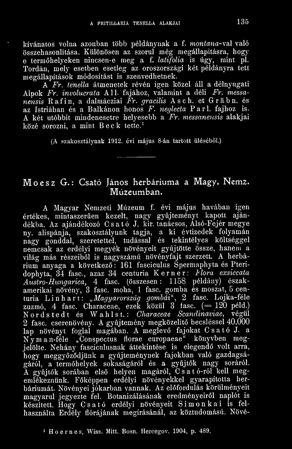 tenella átmenetek révén igen közel áll a délnyugati Alpok Fr. involucrata Ali. fajához, valamint a déli Fr. messanensis Rafin, a dalmácziai Fr. gracilis Asch. et Grabn.