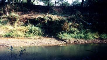 two parts of the town. The dams along the two sides of Borzsa meet at this bridge. When the flood exceeds the height of this bridge the speed of the waterflow decreases.