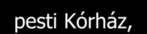 Gazdag Gábor címzetes egyetemi docens Jahn