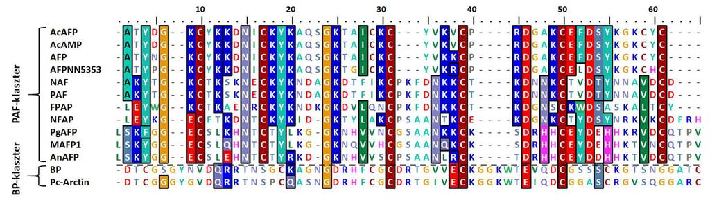 2. ábra. Az eddig izolált cgafp-k aminosav-szekvenciáinak illesztése. AcAFP: Aspergillus clavatus VR1 antifungális ptotein (azonosító: ABR1039), AcAMP: A.