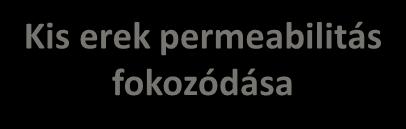 Károsodás Kémiai mediátorok felszabadulása
