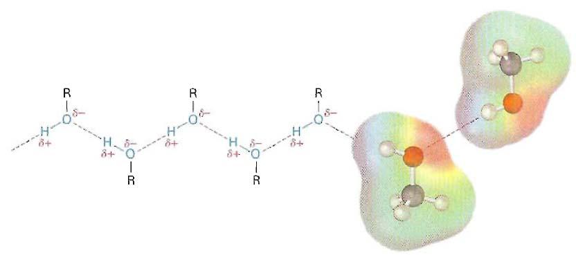 Az alkoholok, fenolok tulajdonságai az oxigén sp 3 hibridállapotú (a két nemkötő e - pár meg a két szubsztituens ~tetraéderes; a két