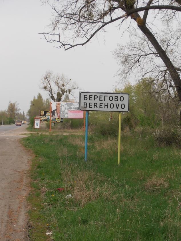 (7. kép).