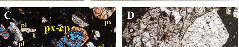 ábra: mikroszkópos felvétel (+N): piroxén (px) - plagioklász (pl) kumuloporfír (Tápiószele lelőhely, 1.