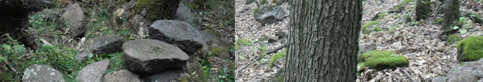 : Slope with millstone (quernstone) fragments near Domoszló Az általunk bejárt hegyoldalakban a Nagyhársasi Andezit Formáció változatos szemcseméretű vulkáni agglomerátumából származó nagyméretű
